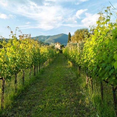 Villa Il Paradisino Sesto Fiorentino Exterior foto