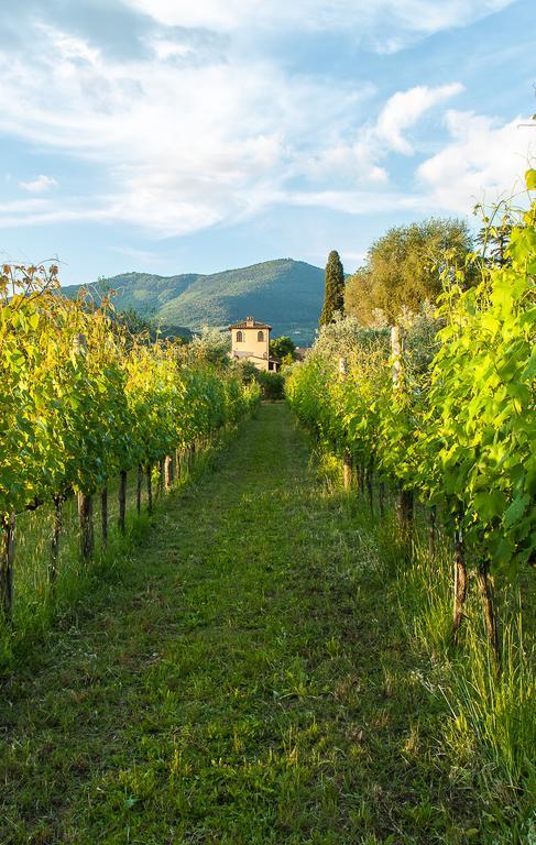 Villa Il Paradisino Sesto Fiorentino Exterior foto